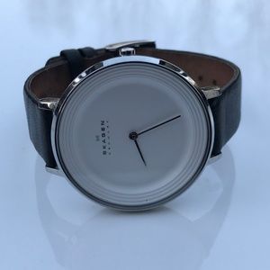 Skagen Silver and Black Women's Watch